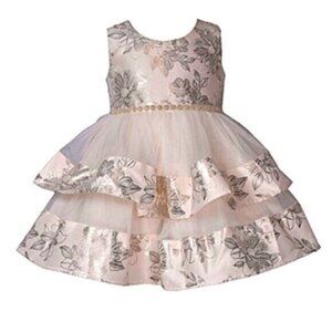 Bonnie Jean Toddler Girls Pink  Fit + Flare Fancy Dressy Party Dress 2T